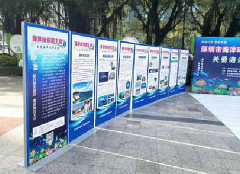  威信KT板的种类和知识。